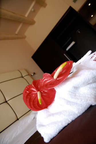 Europa Hotel 4*